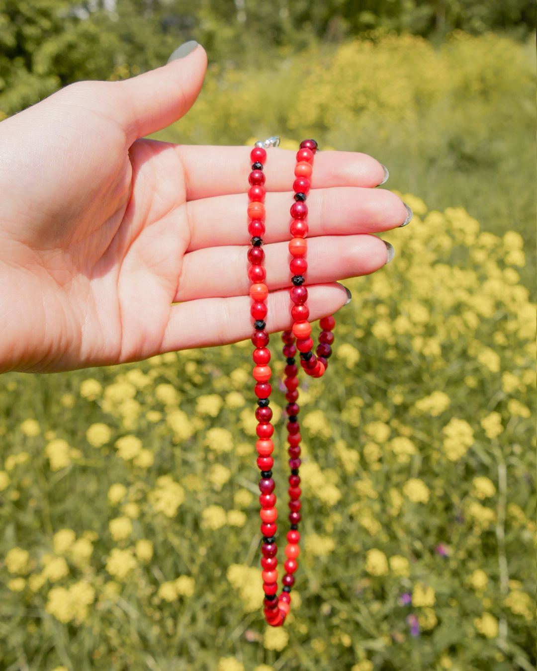 Set | Red Rose