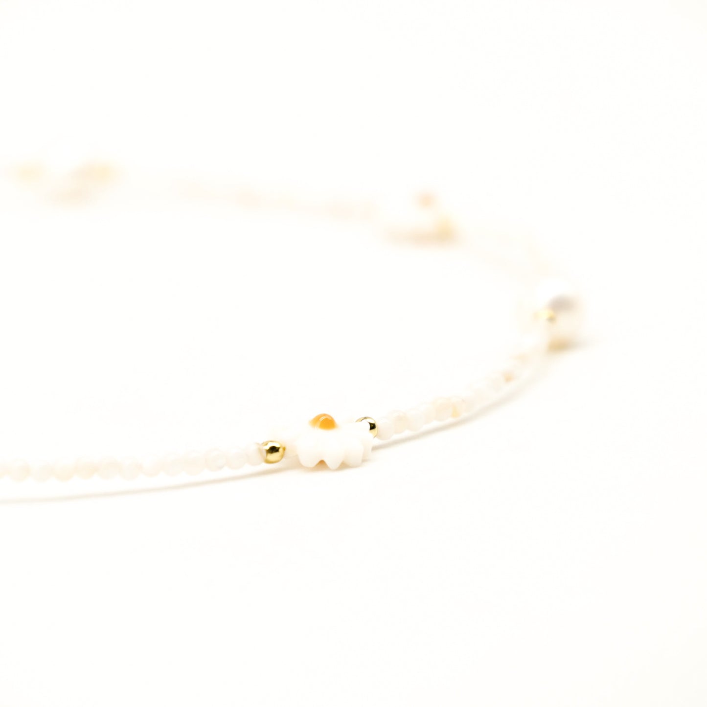 Sweet Chamomile